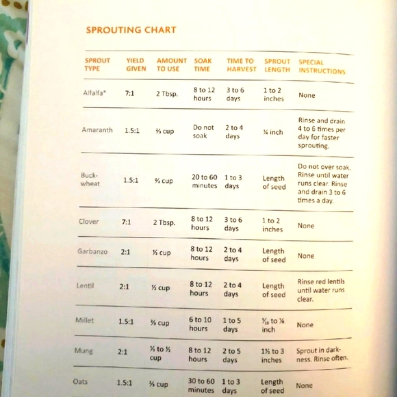 21 Day SuperStar Cleanse, big book, by Rainbeau Mars, Health, Diet, Renewal - Picture 7 of 10